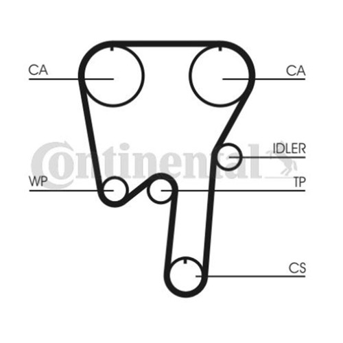 Contitech timing belt - belt, set
