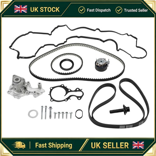 Timing belt kit oil - oil,